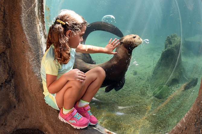 Zoo Miami Ticket with Optional Upgrade - Wings of Asia and the bird exhibits
