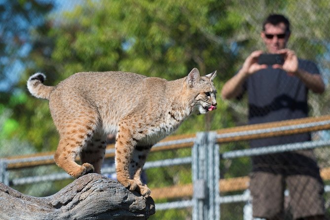 Zoo Miami Ticket with Optional Upgrade - The best and worst times for animal activity