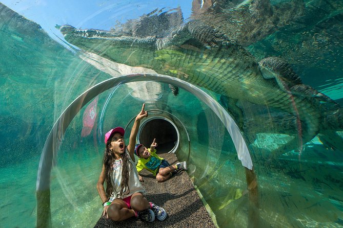 Zoo Miami Ticket with Optional Upgrade - Why the open enclosures matter