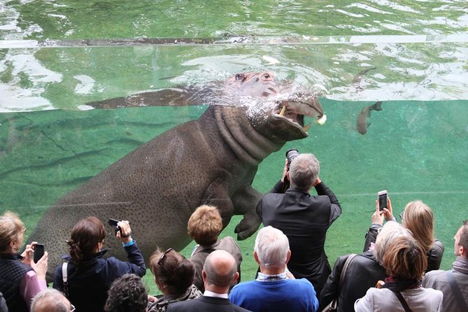 Zoo Of Beauval - Private Trip - A private car, not a guided tour