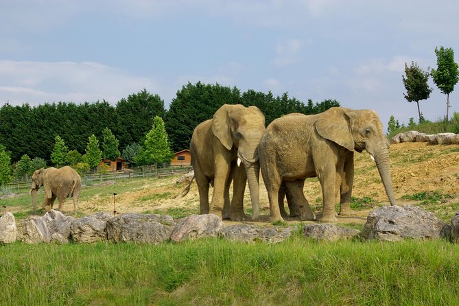 Zoo Of Beauval - Private Trip - Booking, cancellation, and small practical details