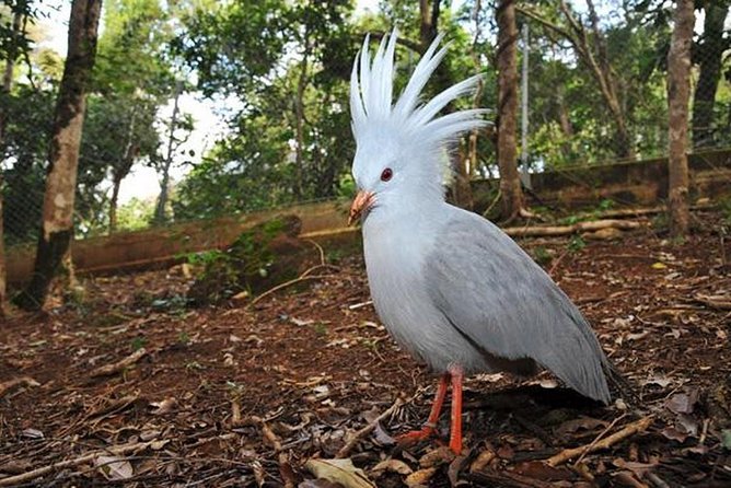 Zoological and Forestry Park Admission Ticket - Key points to know before you go