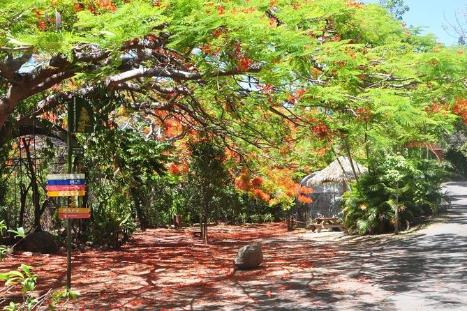 Zoological and Forestry Park Admission Ticket - A nature stop built for a Noumea port day